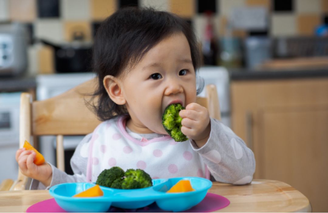 What is Healthy Start?