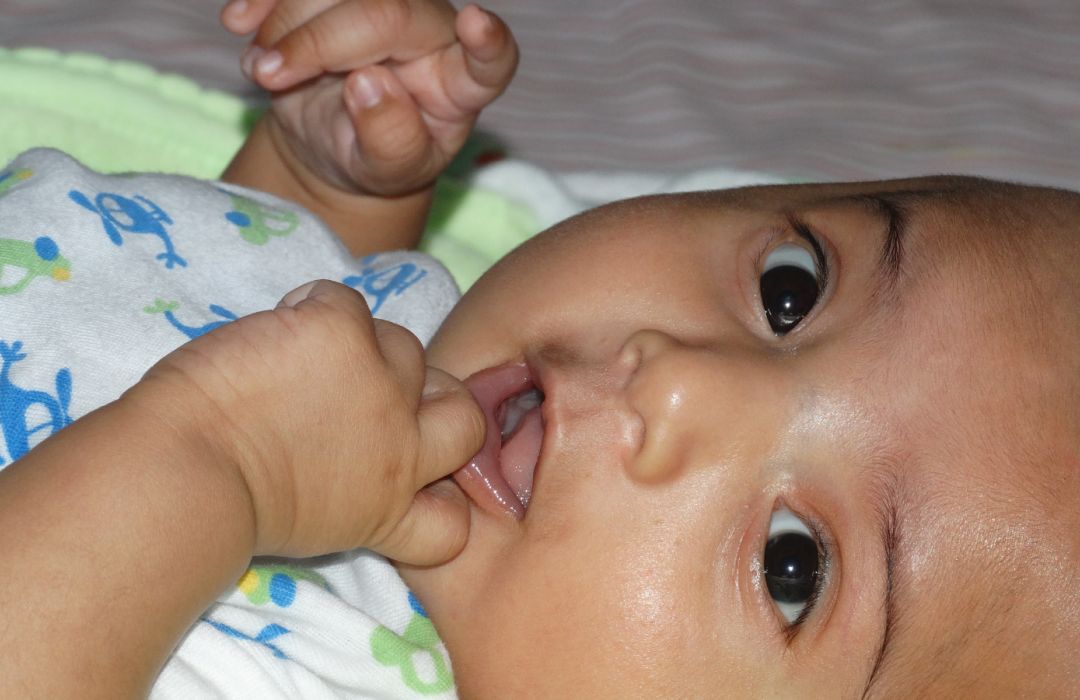 8, 12 and 16 week immunisations